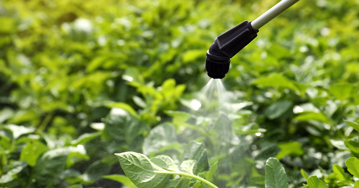 Q&A: Common pesticide linked to early-onset colorectal cancer