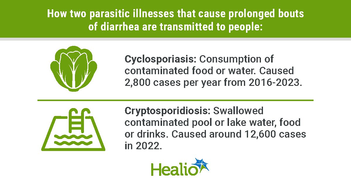 Crypto: The other diarrheal illness that causes summer outbreaks