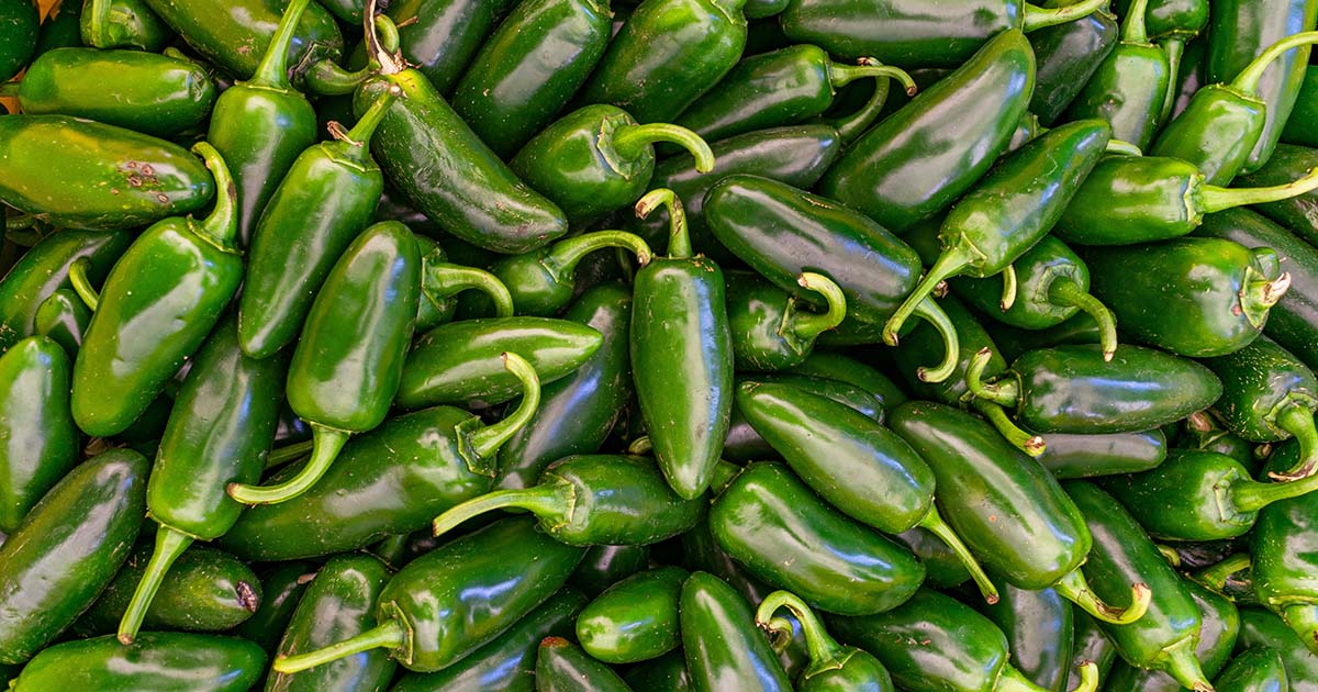 Salmonella outbreak linked to jalapeños sickens hundreds in US