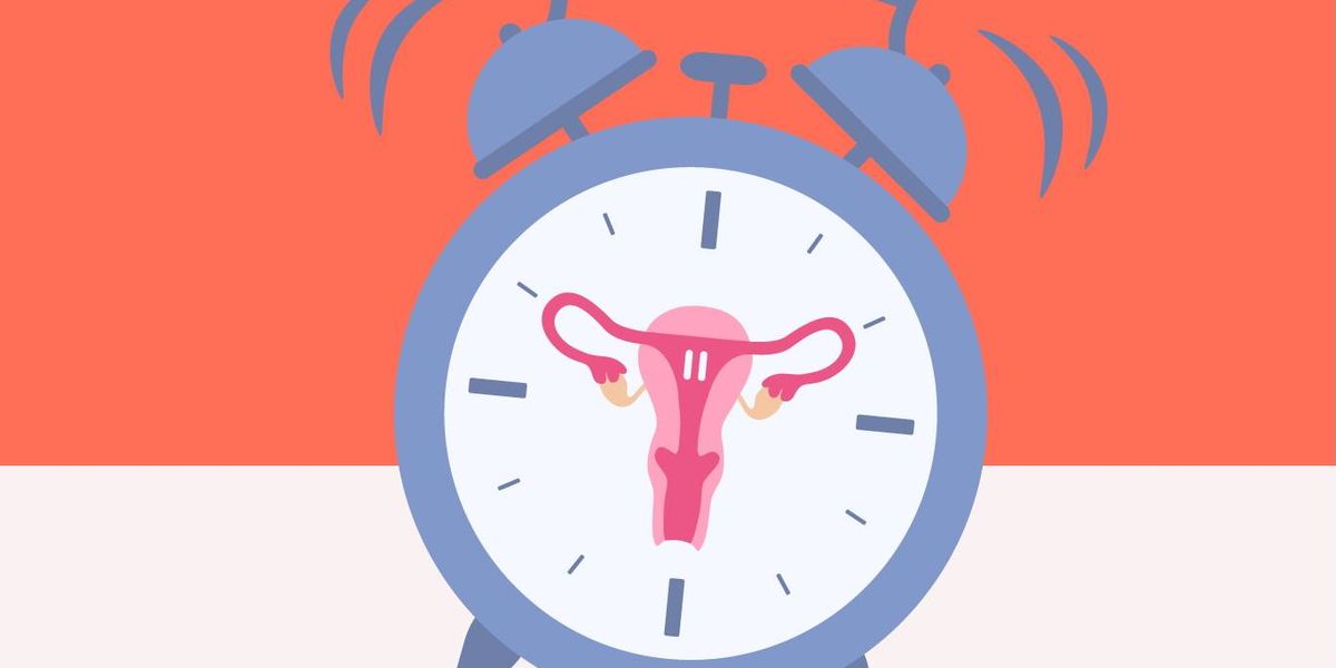 Información de los plazos y etapas de la menopausia