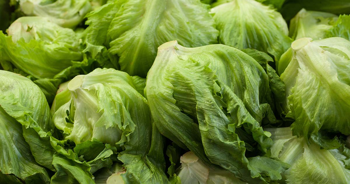 Was the summer of foodborne outbreaks as bad as it seemed?