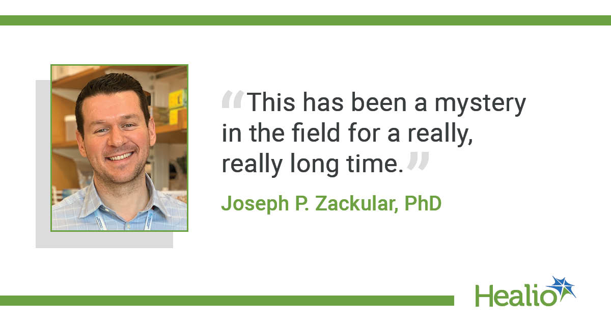 Joseph P. Zackular, PhD, explains C. difficile’s impact on babies