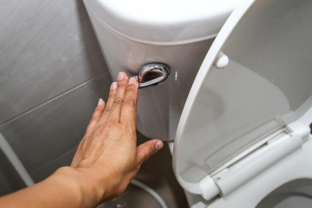 Sexually Transmitted Diarrhea: What to Know About Shigella