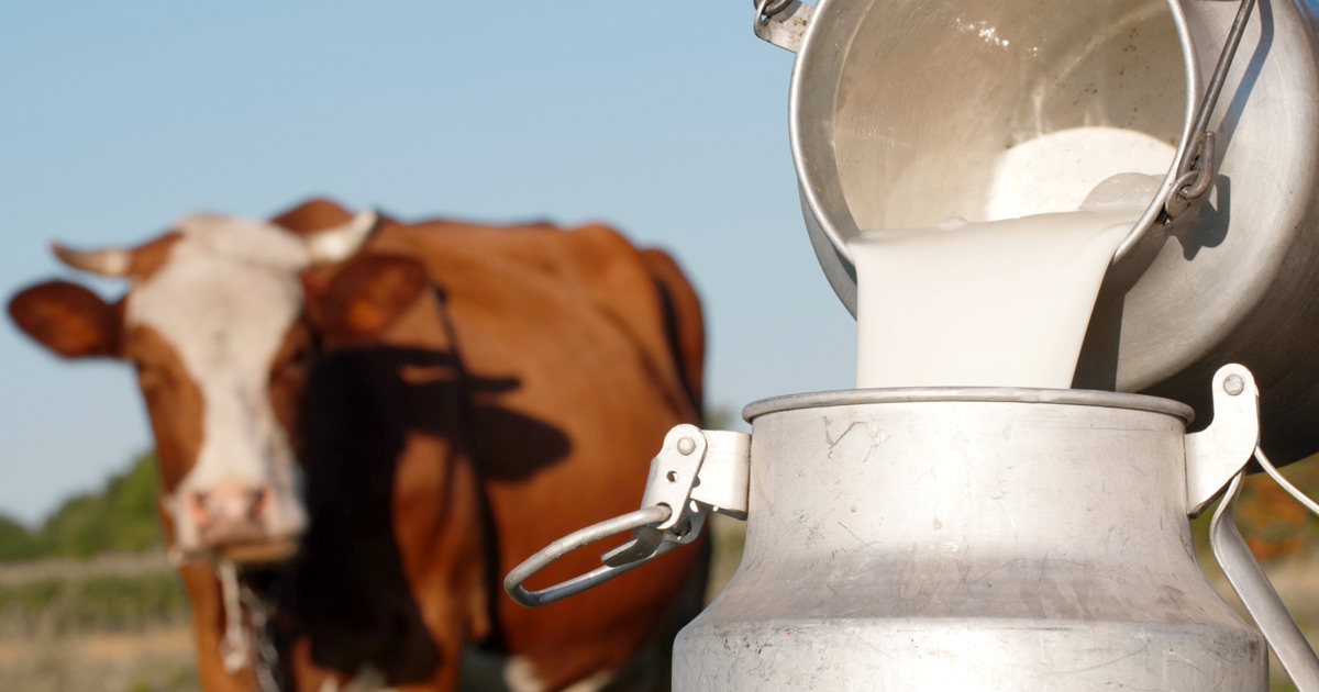 Pediatricians endorse ban on raw milk products